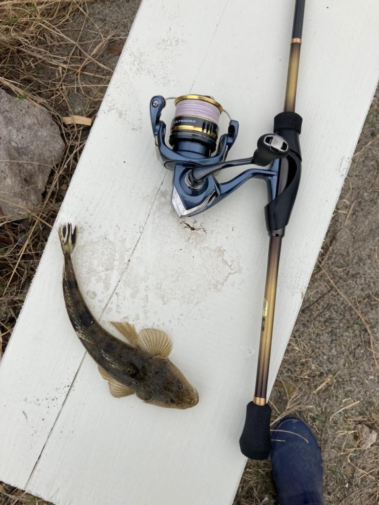 ライトゲームin河口