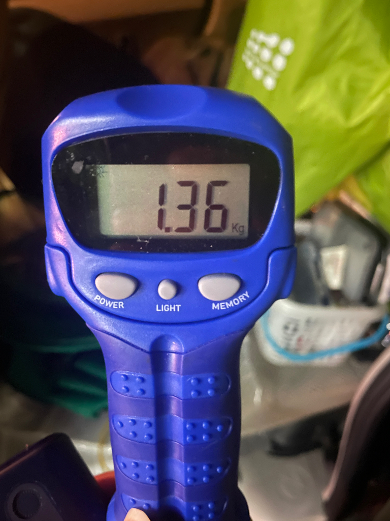 淡路島も秋イカ終盤⁈