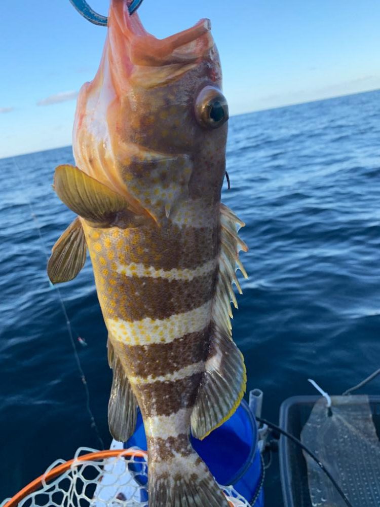 マイボートでアマダイ釣行！