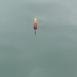 雨の中の釣り堀海恵