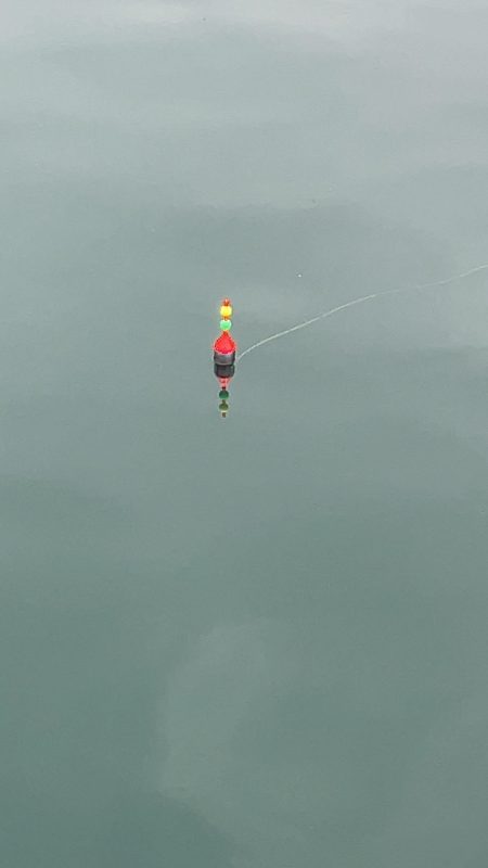 雨の中の釣り堀海恵