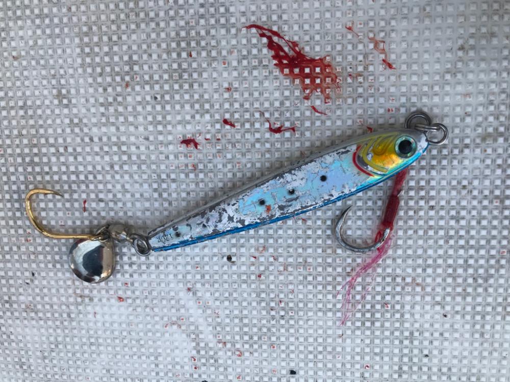 久しぶりの船釣り!