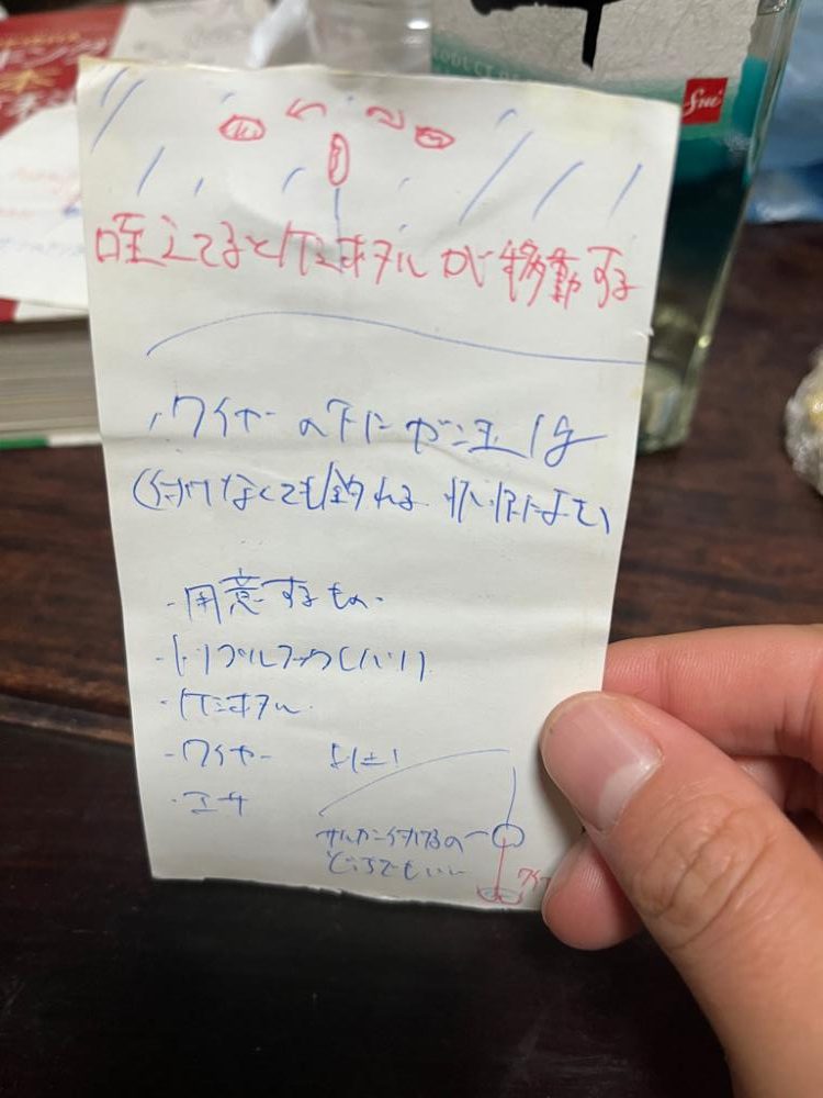 《太刀魚爆釣》岸和田エリアリアル！