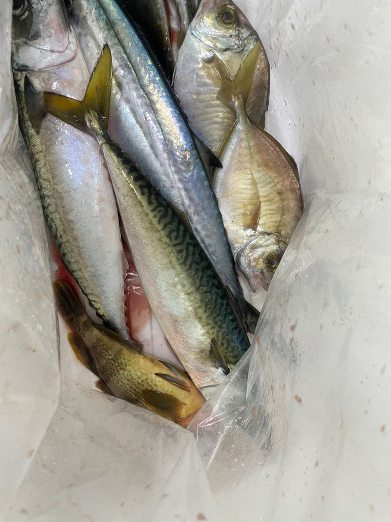 丹後沖　ライトジギング