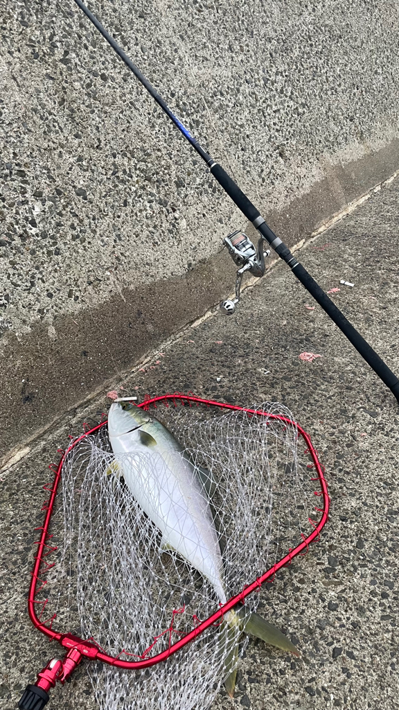 雨にも負けず☔️