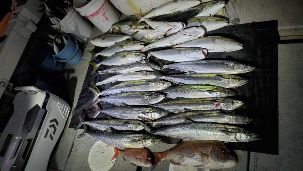 11月のライトジギング(2/2)