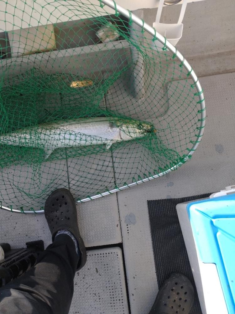 最後の最後に本命