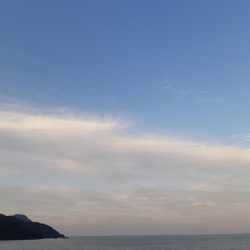 イカの気持ち８