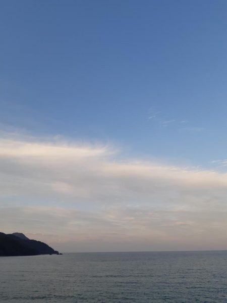 イカの気持ち８