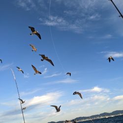 二回目の船タチウオテンヤ