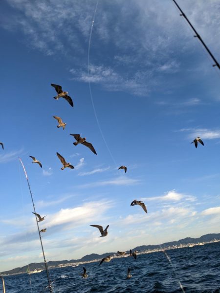 二回目の船タチウオテンヤ