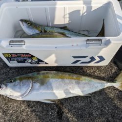 悲劇からの奇跡