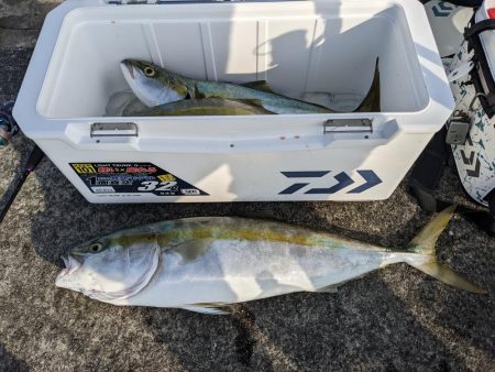 悲劇からの奇跡