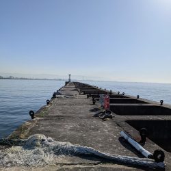 激渋リベンジブリ