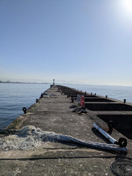 激渋リベンジブリ