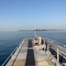 フィッシングパーク光