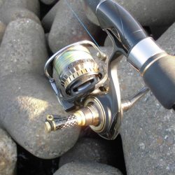 ゴリゴリゴリゴリ…