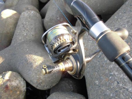 ゴリゴリゴリゴリ…