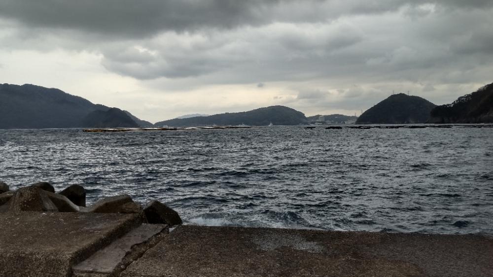 急遽、初、日引漁港釣行！