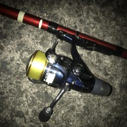 ヤエンでアオリイカ7杯GET