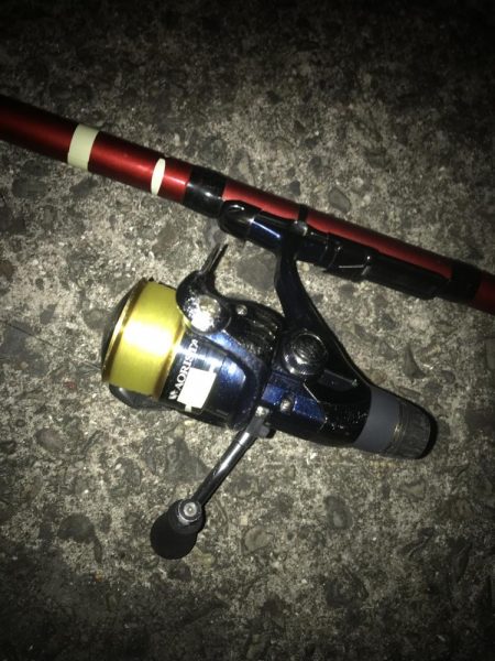 ヤエンでアオリイカ7杯GET