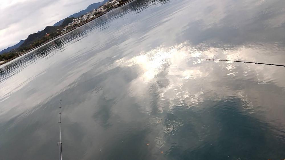 超久々の青物GET！