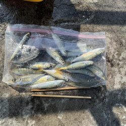 ギリギリアジしか釣れん