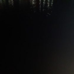 ショアジギング