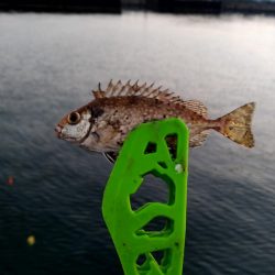 夜明けまでが勝負