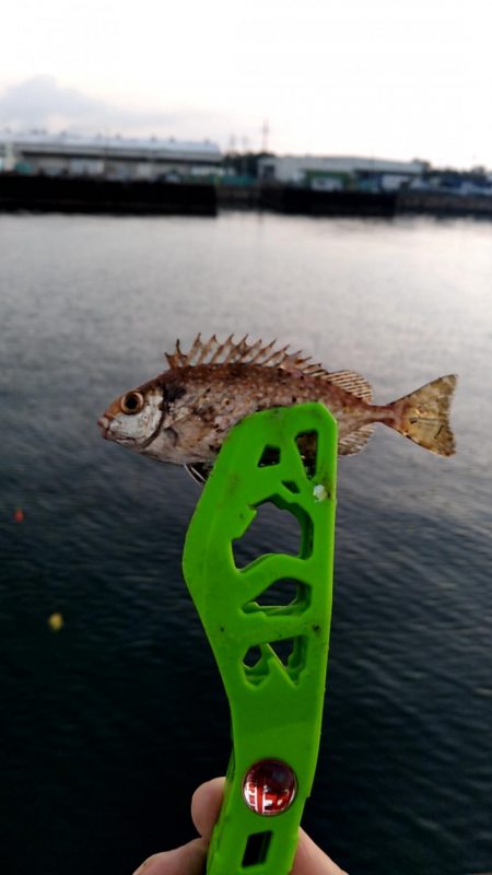 夜明けまでが勝負