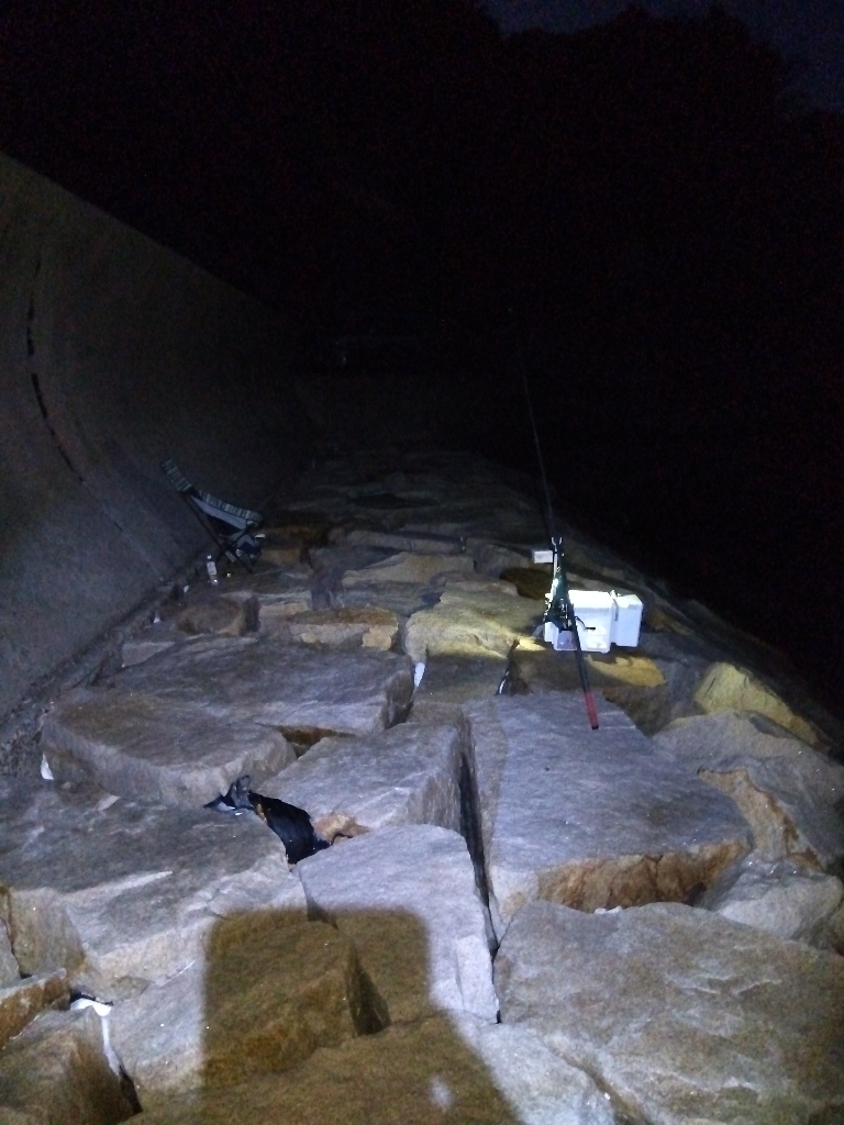 室津のキス釣り