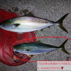 夕暮れのプチsalt water game