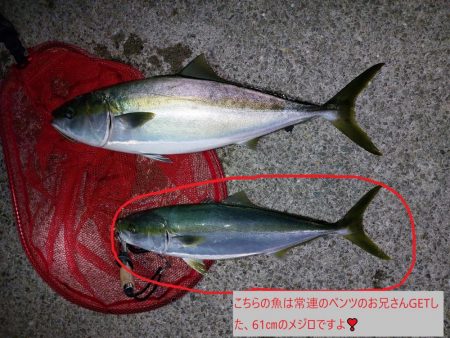 夕暮れのプチsalt water game