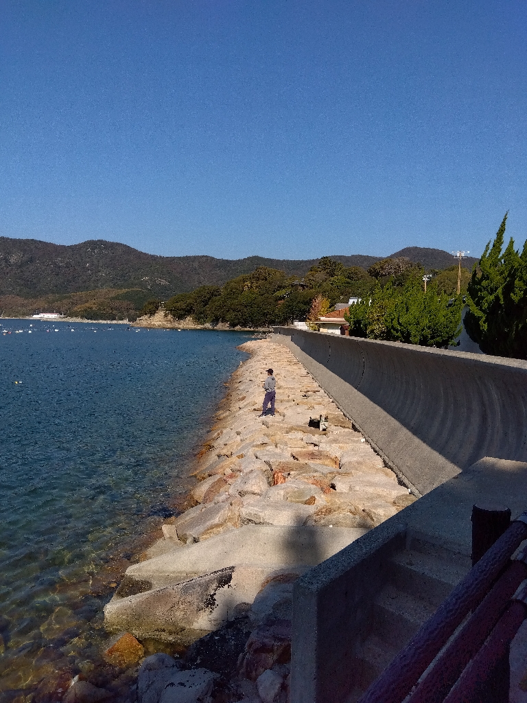 室津のキス釣り