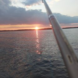 夕暮れのプチsalt water game