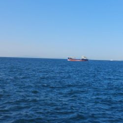 プチsalt water game