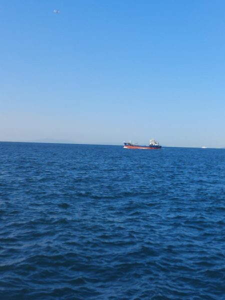 プチsalt water game