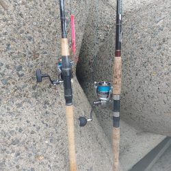 プチsalt water game