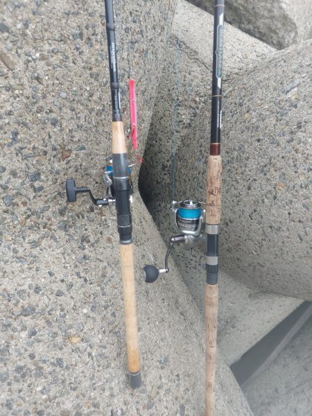 プチsalt water game