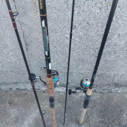 プチsalt water game