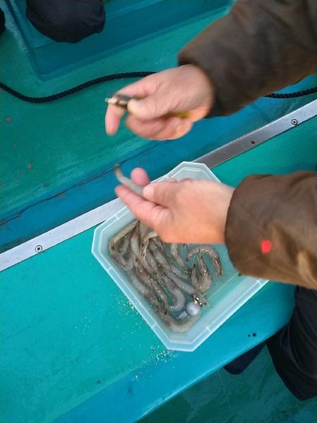 五目狙いの遊動テンヤゲーム