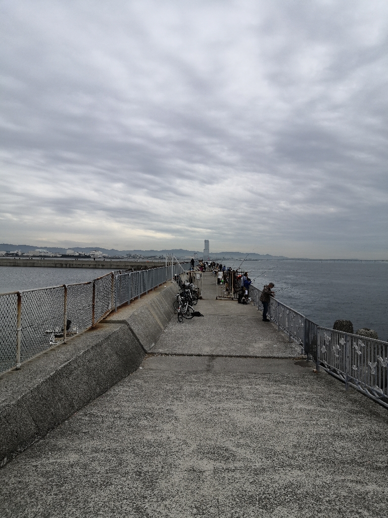 カワハギまだ釣れます
