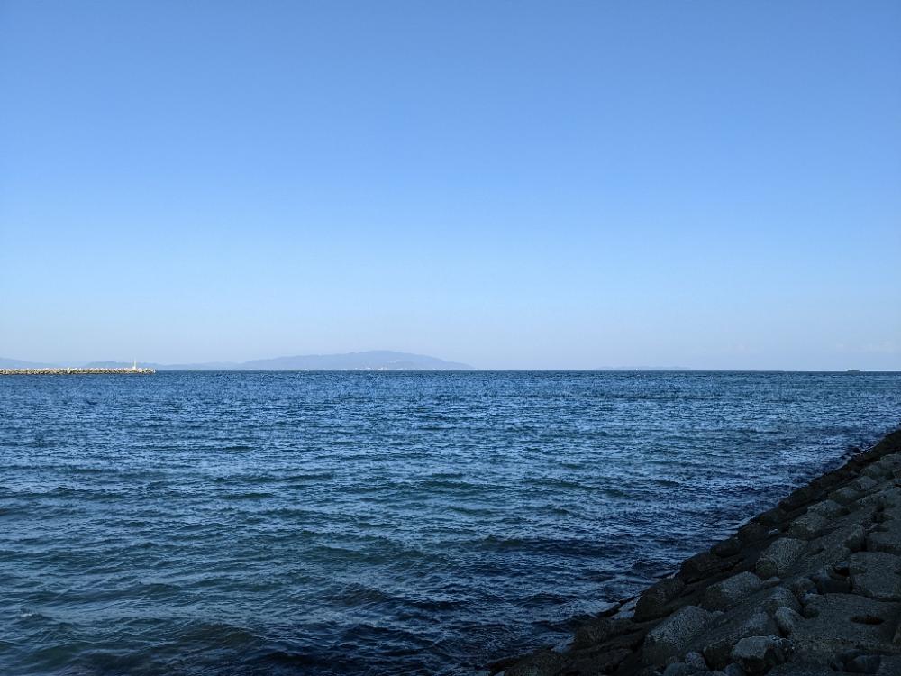 ルアーの動きを確認するだけだったのに。。。