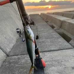 ギリギリ獲れた