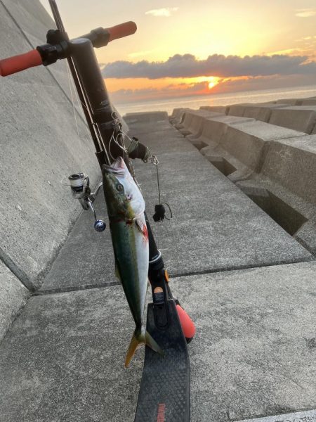 ギリギリ獲れた