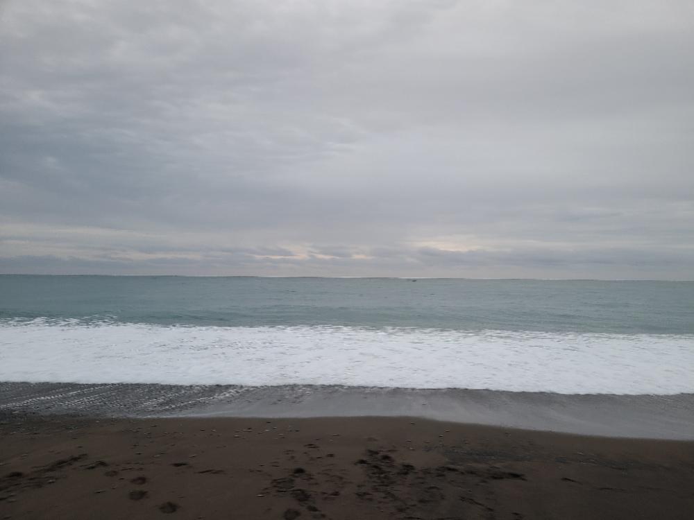 めっちゃいっぱい釣れた