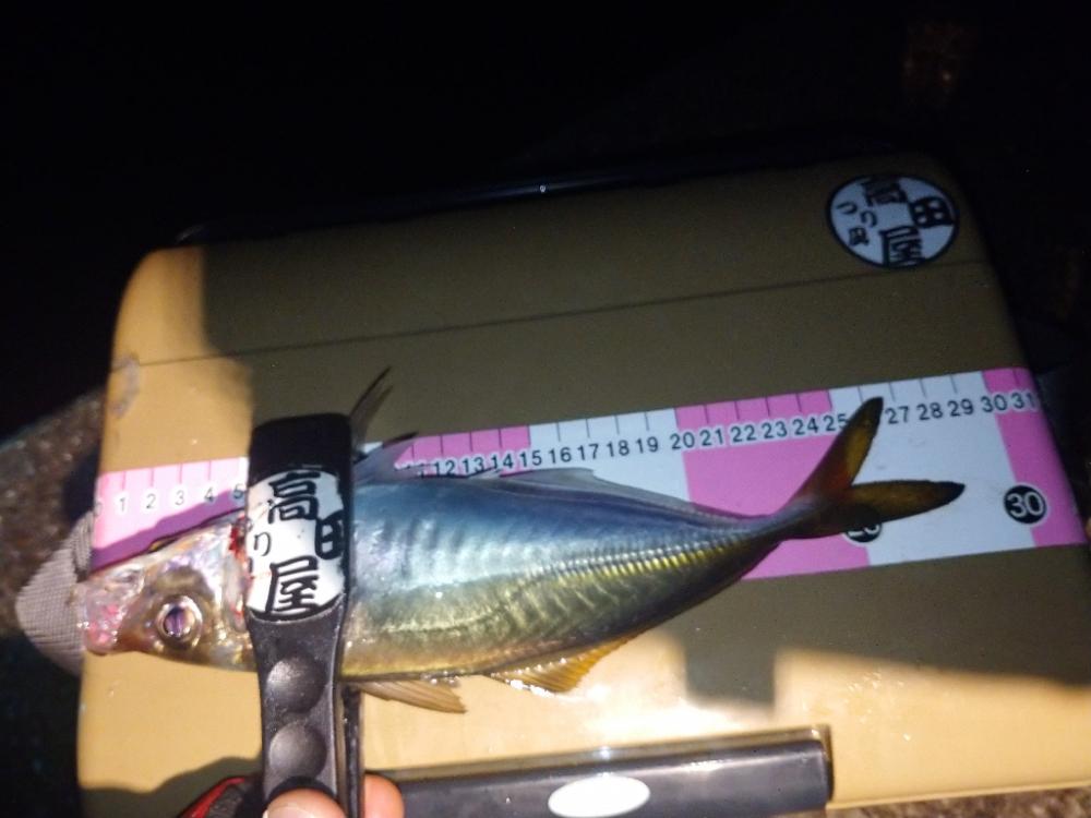 イージーシェイカー3.5