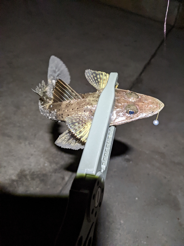 寒くなったなぁ