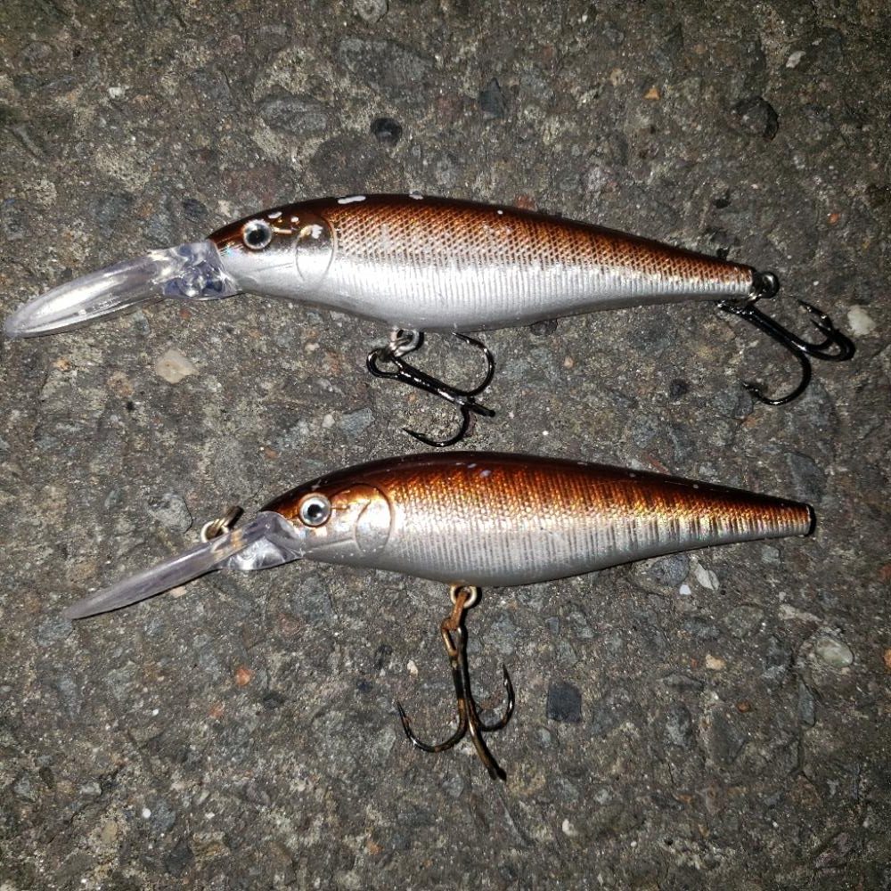 100均ルアーのチカラ！