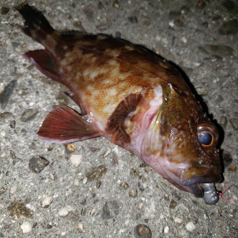 16時待ち合わせ！